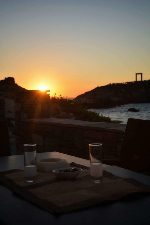 Appartement Albatross Seafront House à Naxos City Extérieur photo
